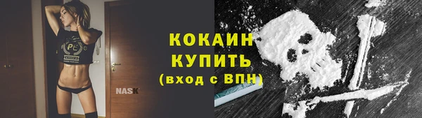 мяу мяу мука Богородицк