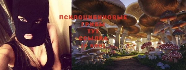 кристаллы Богородск